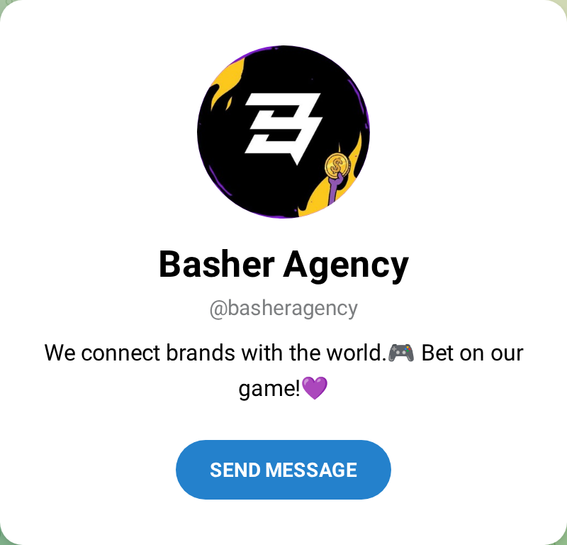 Telegram public page of the impersonation account @basheragency: it copies the Basher name and monogram but on a black background with a dollar coin added, and the bio contains no Basher email or website.
